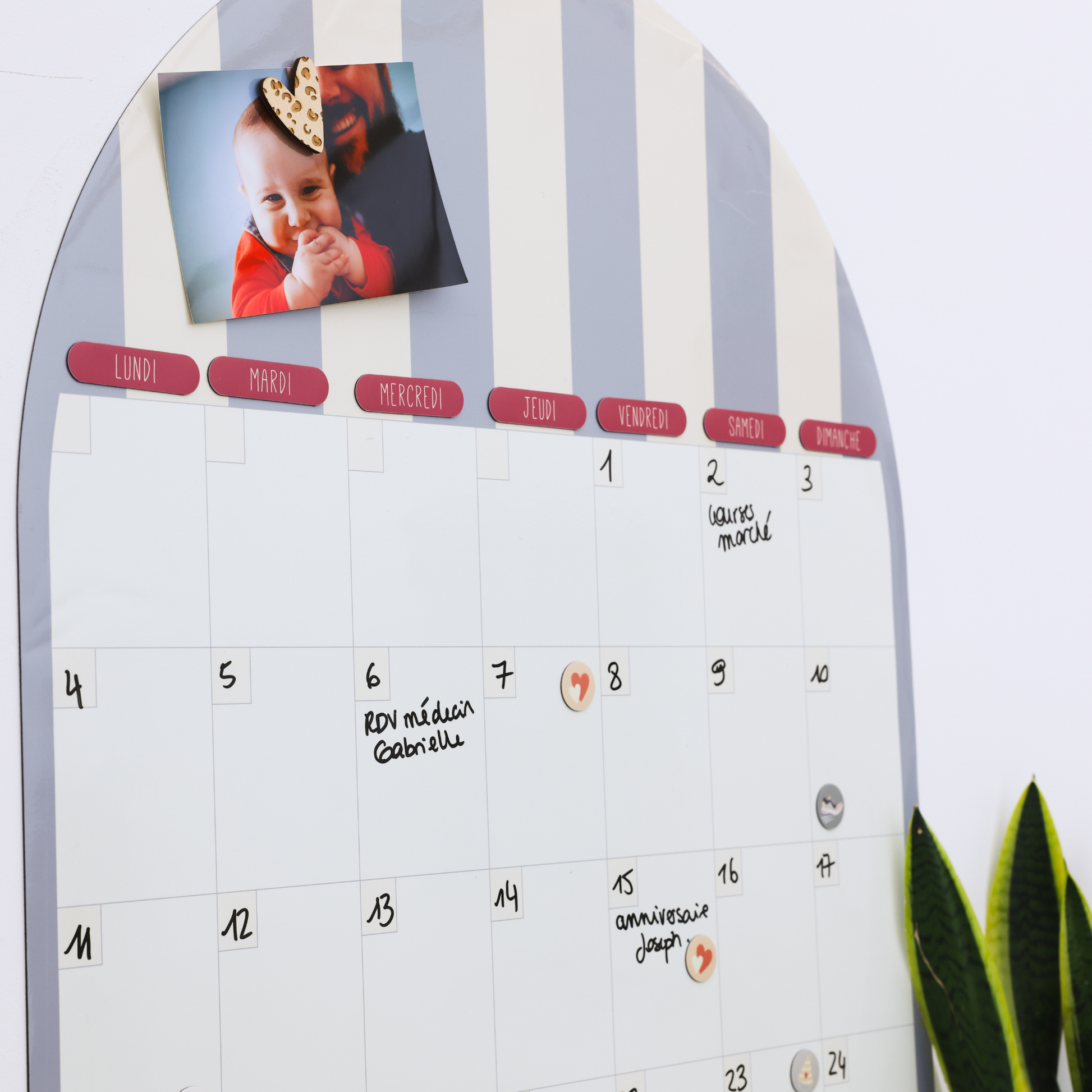 Calendrier mural mensuel effaçable à sec arche et magnets illustrés